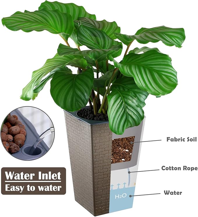 2 Pack Self Watering Planters 10.7" x 6.9" Planter - Image 4