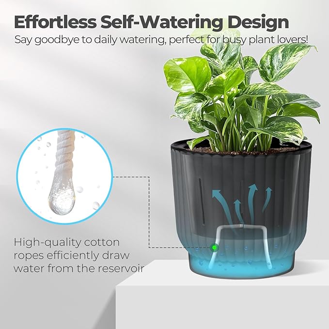 T4U 4.5 Inch Plant Pots Self Watering, 6 Pack African Violet Pots, Small Plant - Image 3