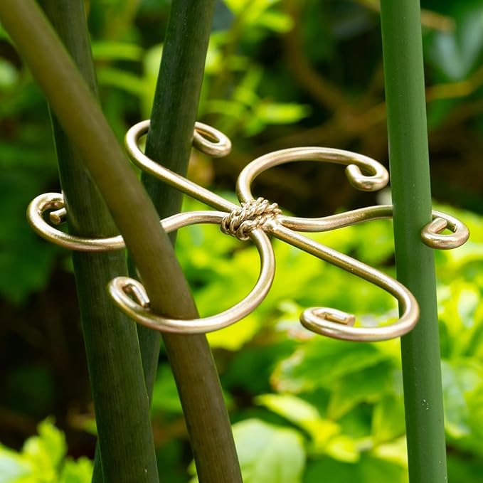 Monstera Plant Stem Support Set - Image 6