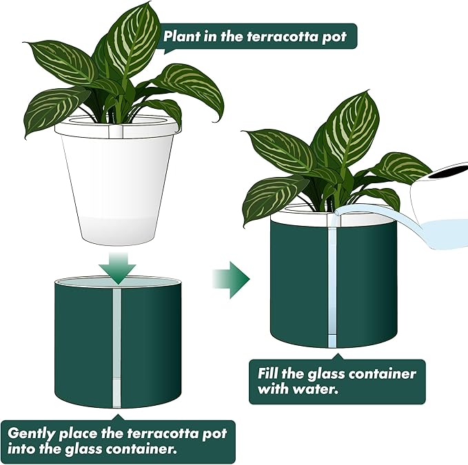 D'vine Dev 10 Inch Design Self Watering Planter - Image 5
