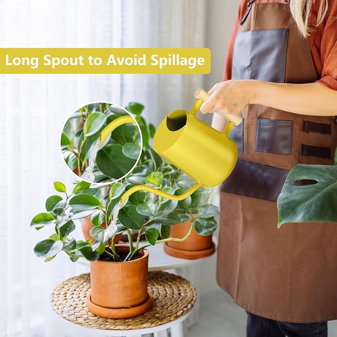 Watering Can Indoor Plants, 35oz Small Stainless Steel Metal Watering Can - Image 2