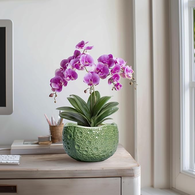 8 Inch Plant Pot - Image 5