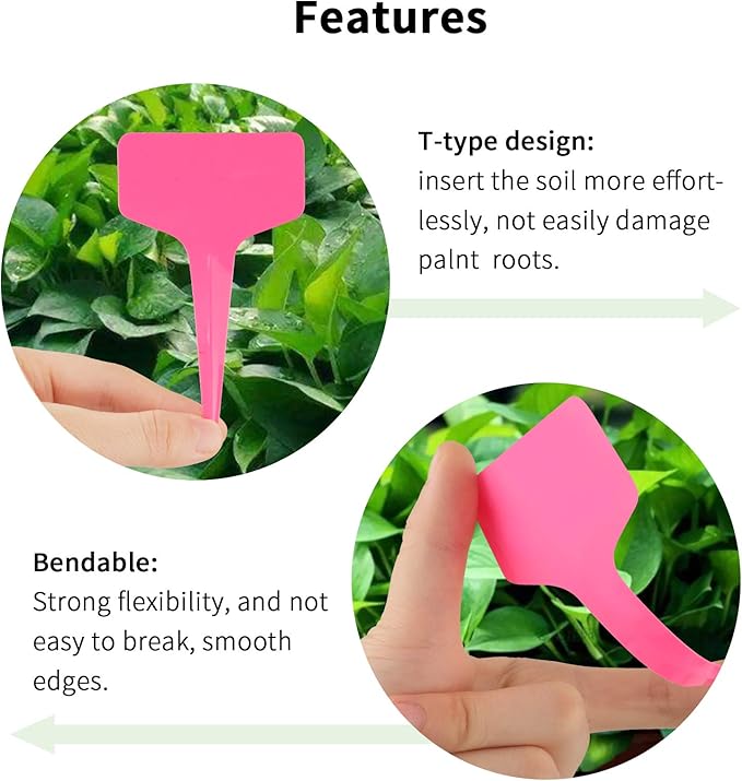 Pink Plant labels - Image 5