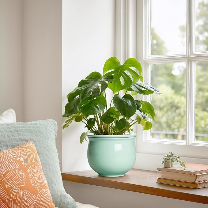 6 Inch African Violet Pots, Ceramic Self Watering Planter - Image 4