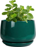 G EPGardening 4 inch Plant Pots by GEPGardening