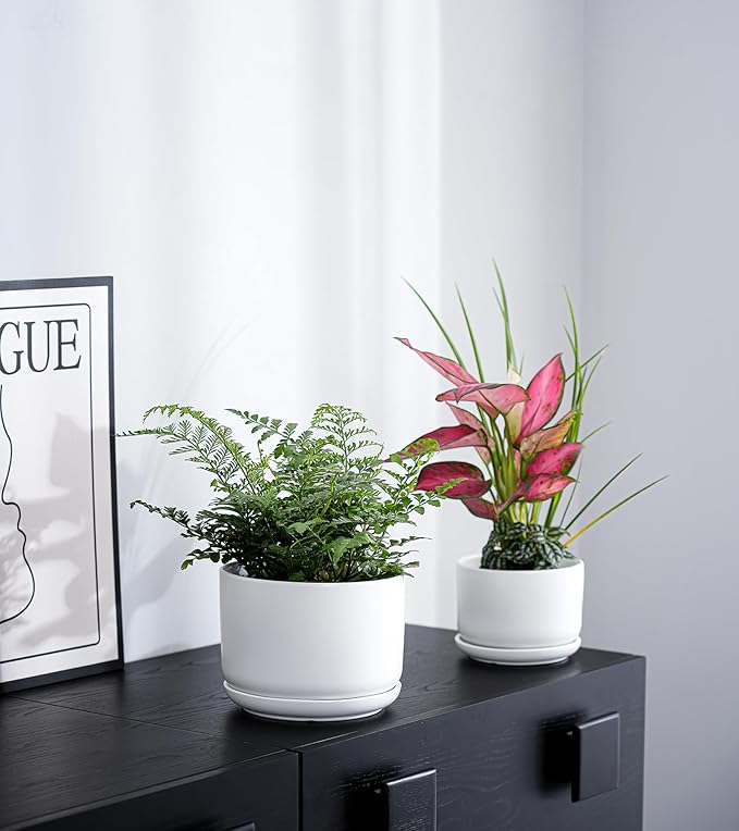 Ton Sin Plant Pots, 4.1+5.1+6.5 inch, Ceramic Planters - Image 7