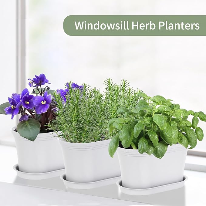 Windowsill Garden Pots, Succulents, African Violet - Image 7
