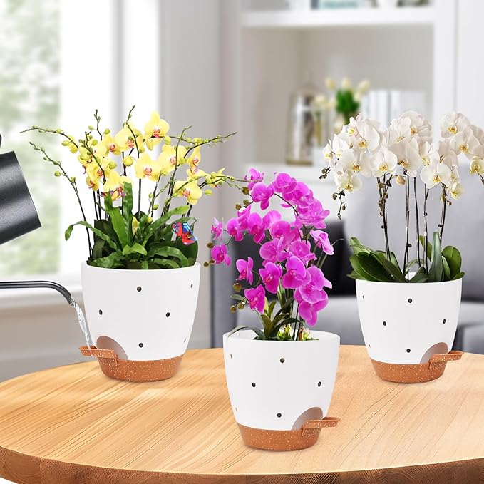 6 Inch Orchid Pots with Holes, 2 Pack Self Watering Planters - Image 6