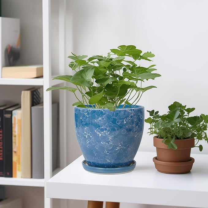 Ceramic Pots for Plants - Image 2