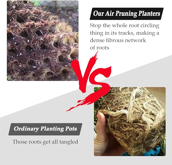 Air Pruning Planters 5 Gallon 6-Pack, Sturdy Plastic Roots Control Planter - Image 4
