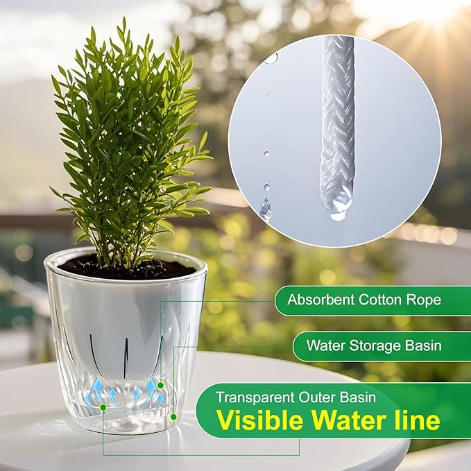 Self Watering Planters - Image 6