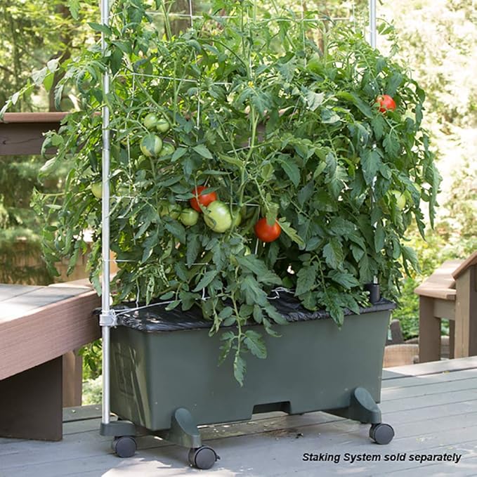 EarthBox 80151 Garden Kit - Image 10