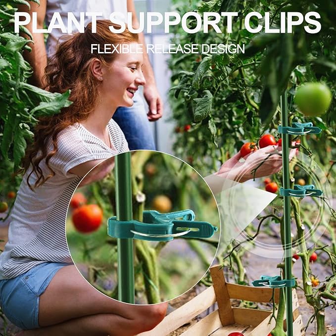 30 Pcs trumpet 1 inch Plant Support Clips, Flower and Vine, Garden Tomato Plant - Image 5