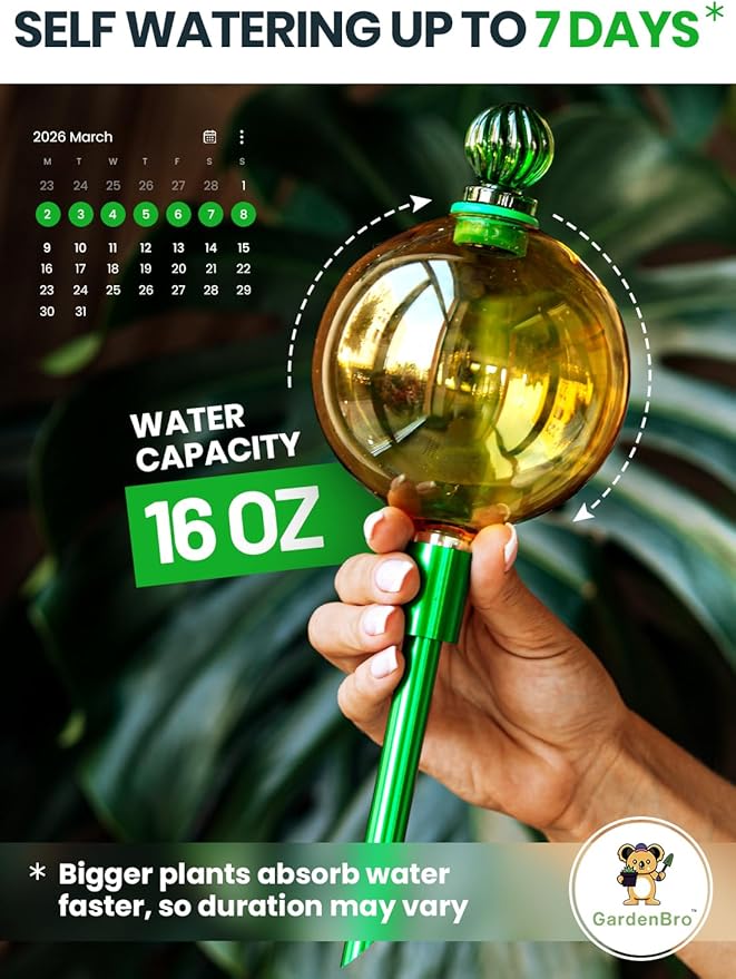 16 Oz Plant Watering Globes for Indoor Plants - Image 2