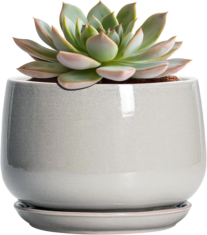G EPGardening Ceramic Pots for Plants by GEPGardening