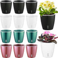 Self Watering Pots for Indoor Plants, Small African Violet Pots by KvyusFlourish