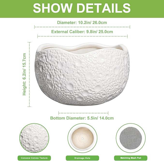 10 Inch Plant Pot - Image 2