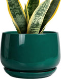G EPGardening Ceramic Planter for Indoor Plants by GEPGardening