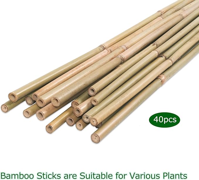 40pcs Natural Bamboo Sticks for Indoor and Outdoor Plants, 16 Inch Plant - Image 5