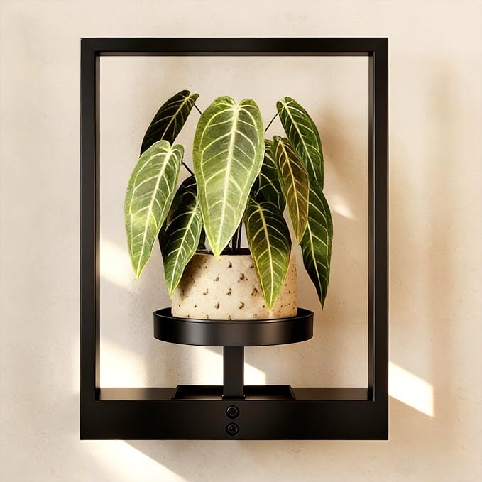 Wall Plant Holder Wall Planters by Gentingbro