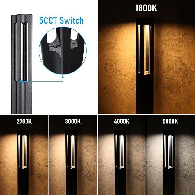 LEONLITE 12-Pack 5CCT Low Voltage Path Lights, Update 1800K2700K3000K4000K5000K - Image 2