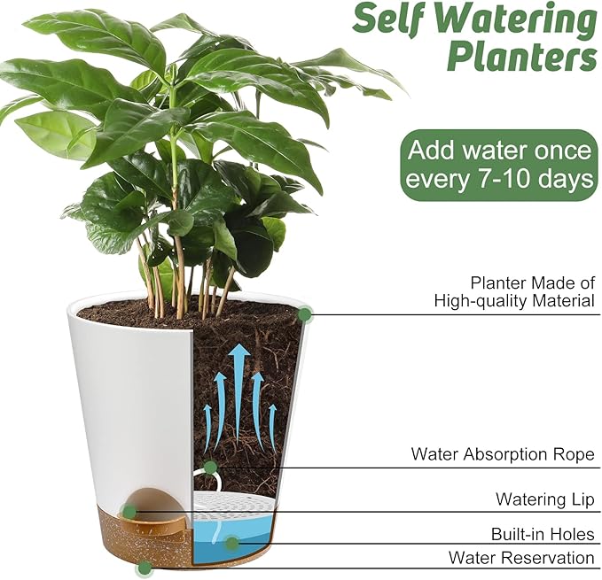 Indoor Self Watering Planters - Image 5