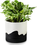 Nihow Ceramic Plant Pot: 6 Inch Planter by Nihow