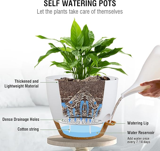 10 inch Self Watering Hanging Planters, 2 Pack Hanging Baskets - Image 3