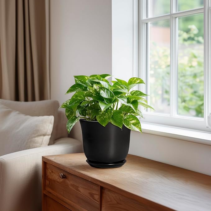 Ceramic Planter - Image 5