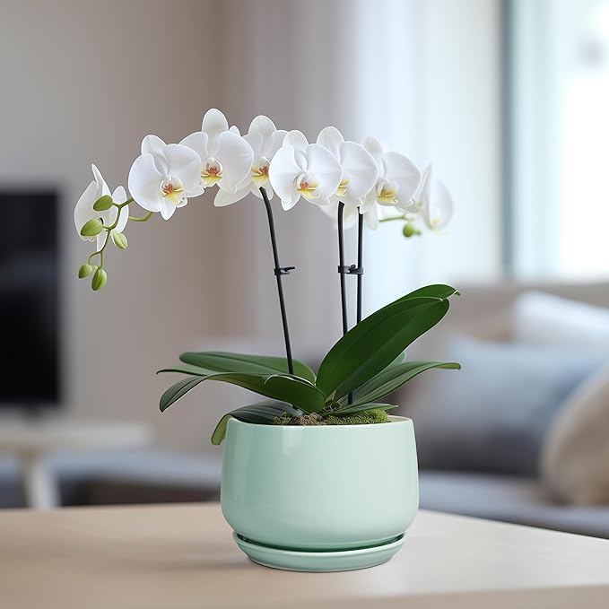 G EPGardening Ceramic Plant Pots - Image 5