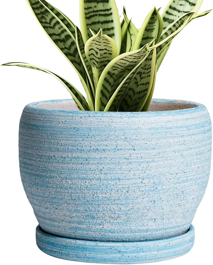 SQOWL Ceramic Planters for Indoor Plants by SQOWL