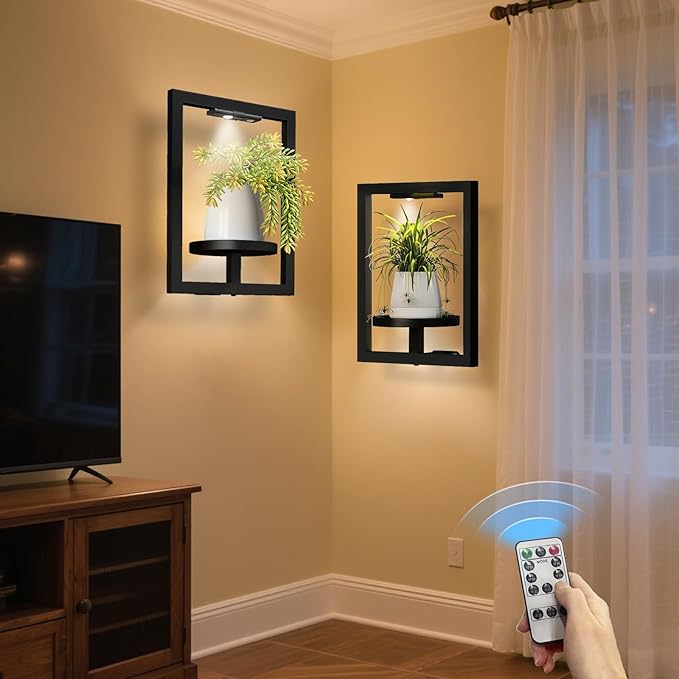 BAOYOUNI 2 Pack Picture Frame Wall Plant Holder by BAOYOUNI