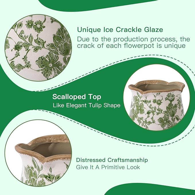 Ceramic-Planters-for-Indoor-Plants - Image 5