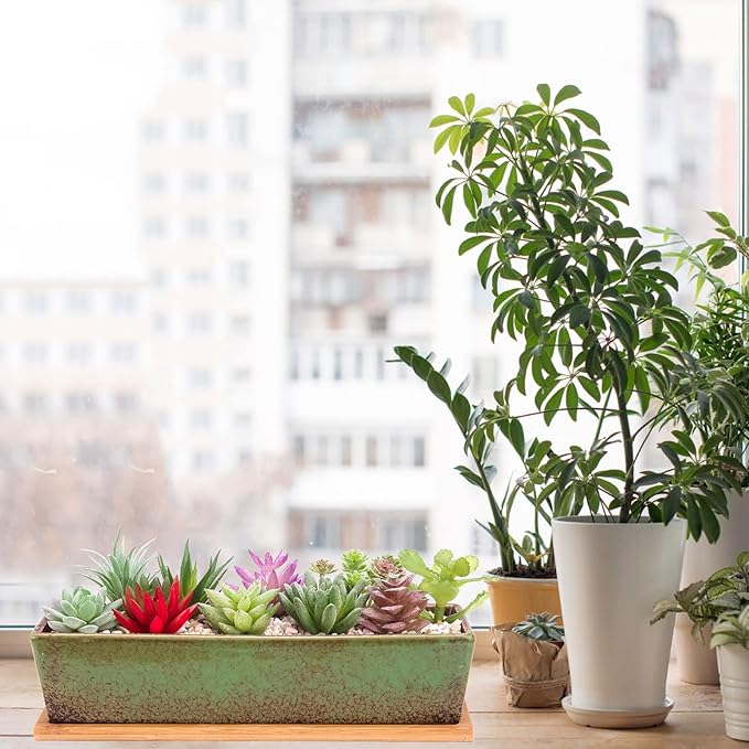 Succulent Pots - Large Succulent Planter Pots - Image 6