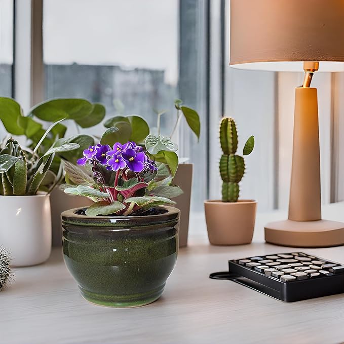 African Violet Pots Self Watering Round Ceramic Violet Pot - Image 5