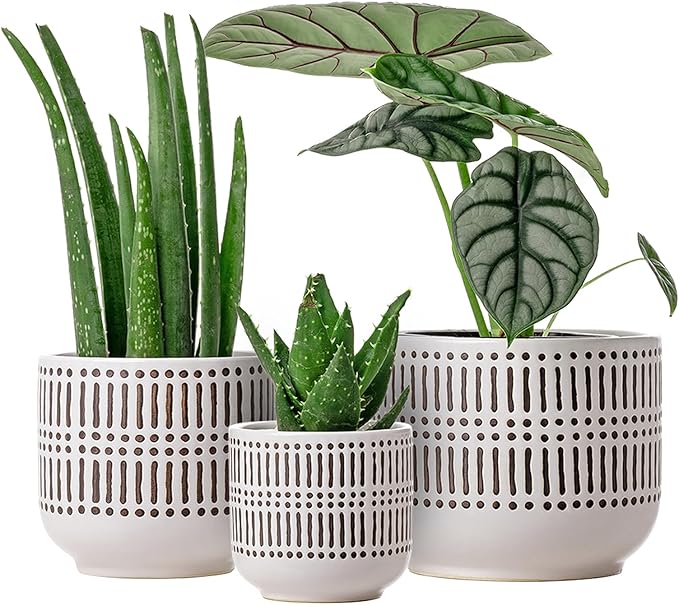 Docrin 3-Pack Ceramic Planters Set by DOCRIN