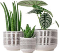 Docrin 3-Pack Ceramic Planters Set by DOCRIN