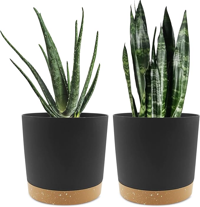 QCQHDU 8 inch Plant Pot, 2 Pack Planters by QCQHDU