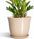 Ceramic Planter by SUNPOTFOR