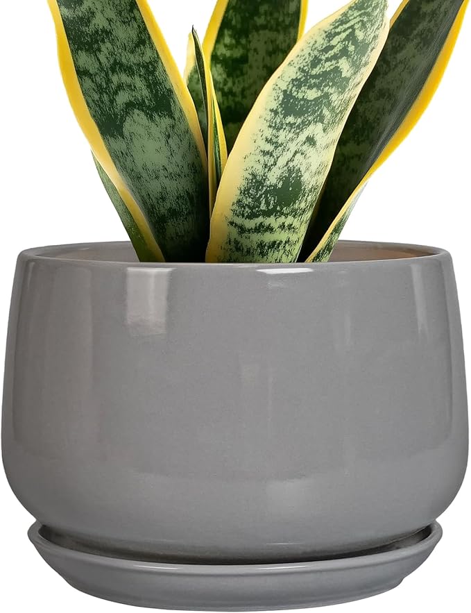 G EPGardening Modern Ceramic Planter by GEPGardening
