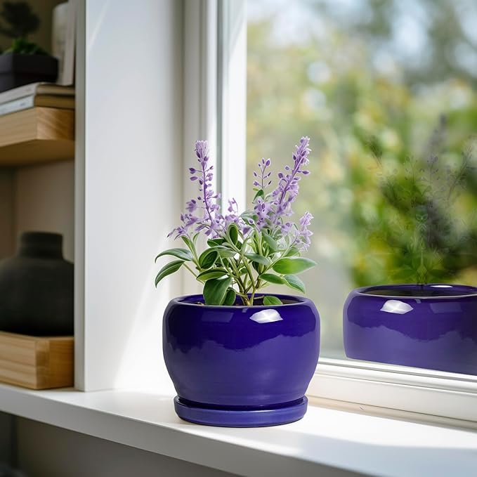 SQOWL Ceramic Planters for Indoor Plants - Image 2