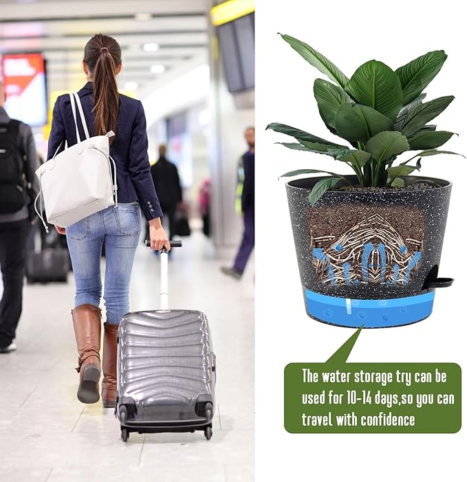 Self Watering Pots for Indoor Plants, 12 inch Planters - Image 3