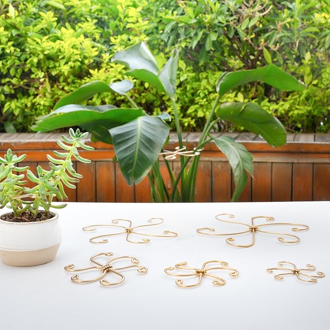 Monstera Plant Stem Support Set - Image 7