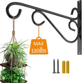 12 Inch Hanging Plant Bracket, Thick Solid Steel Wall Mount Bracket by Unknown