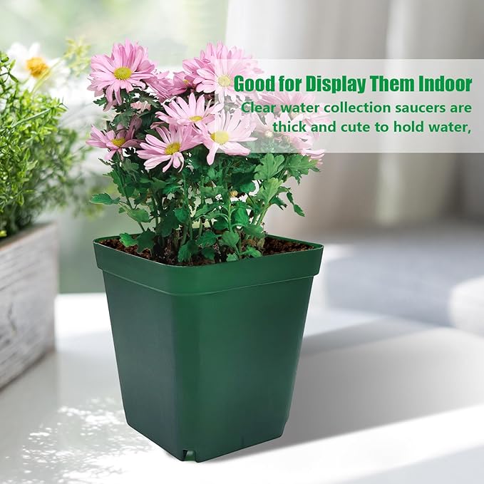 Square Seedling Nursery Pots 3.15 Inches 100 Pcs - Image 7