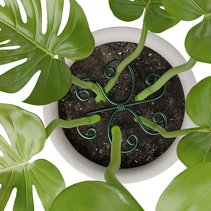 4PCS Green Iron Monstera Support, Uniquely Designed Plant Support Stakes - Image 7