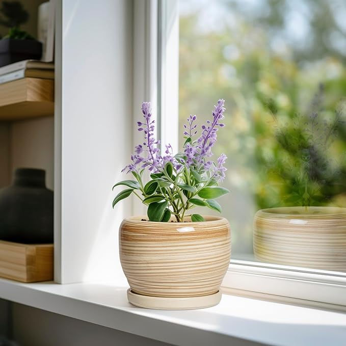 SQOWL Ceramic Pot for Plants - Image 3
