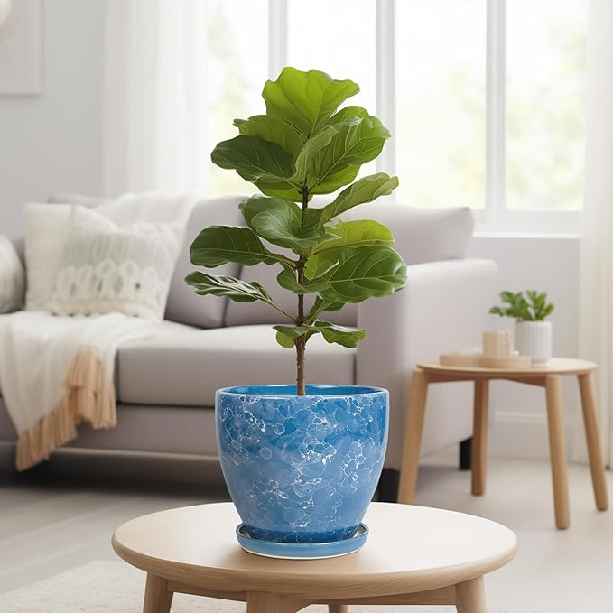 8 Inch Plant Pot - Image 7