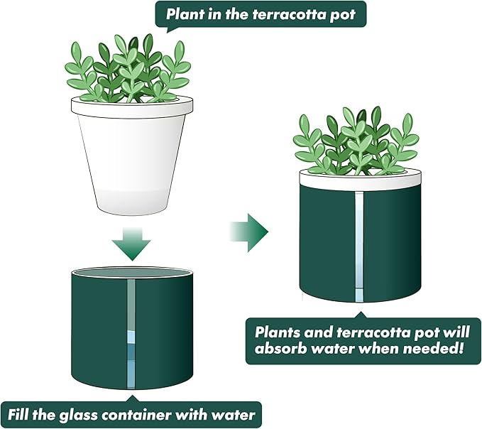 D'vine Dev 4 Inch Design Self Watering Planter - Image 5