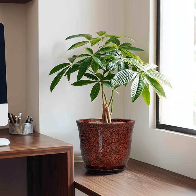 Ceramic Planter - Image 3